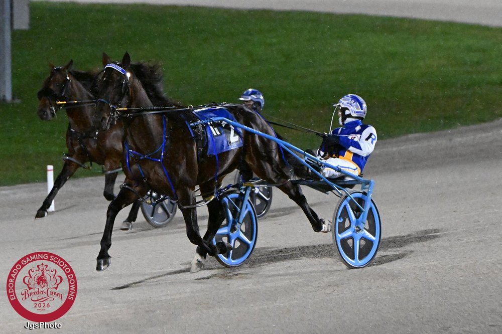 Shalom Hanover
