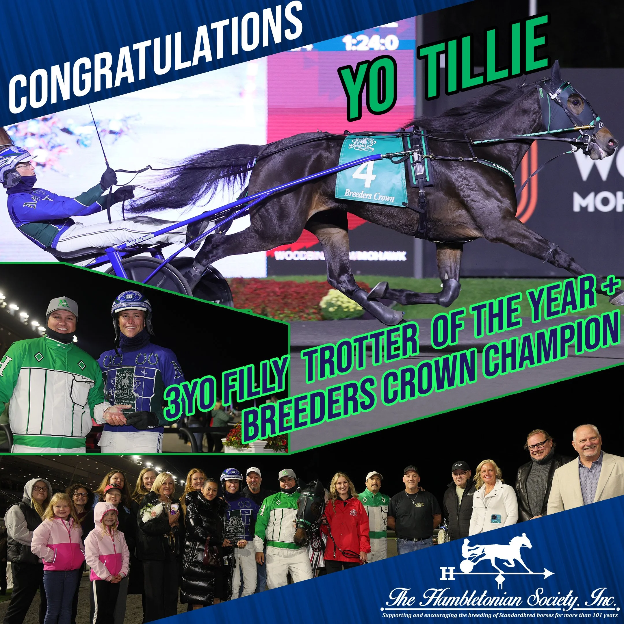 2026 dan patch yo tillie.jpg