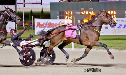 On To Norway wins the Open Trot at Eldorado Scioto Downs