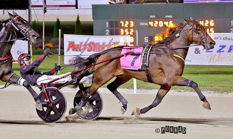 On To Norway wins the Breeders Crown Open Trot
