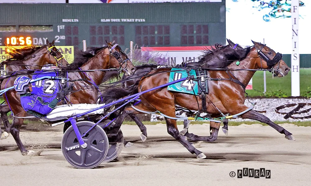 Starstruck Dreamer wins the second Breeders Crown 2-Year-Old Colt & Gelding Pace elimination at Eldorado Scioto Downs