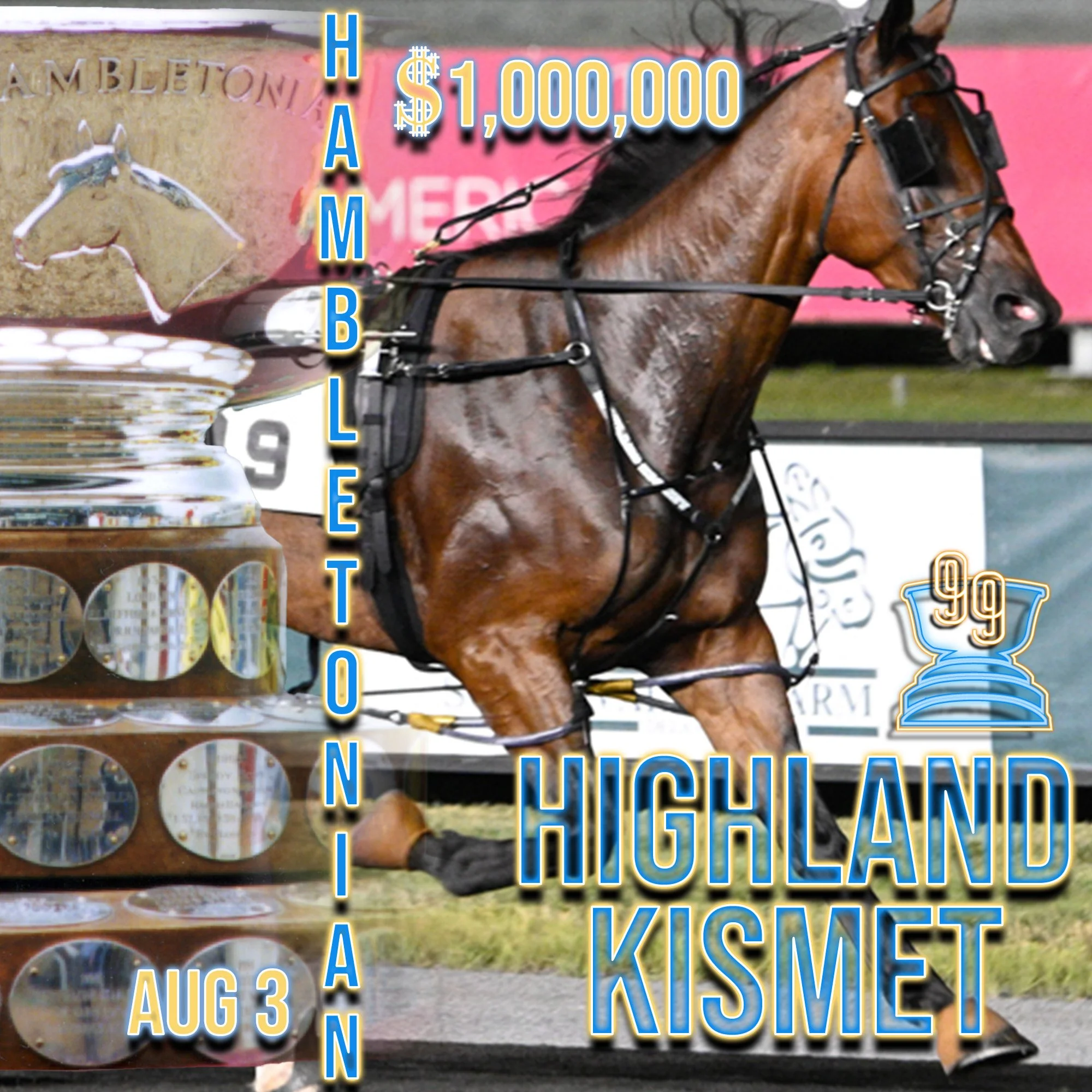 2024 hambo elim entrysingle kismet.jpg