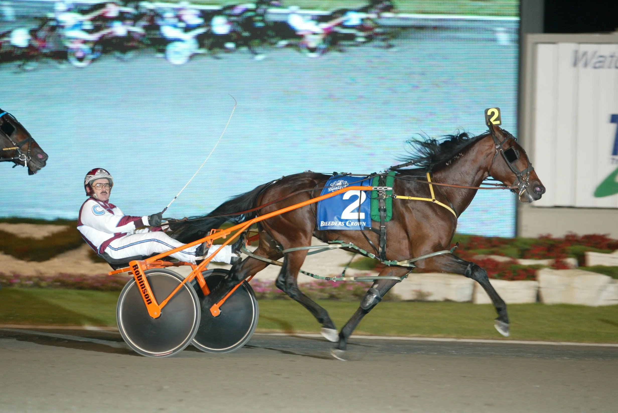 09 Art Major rc4.JPG