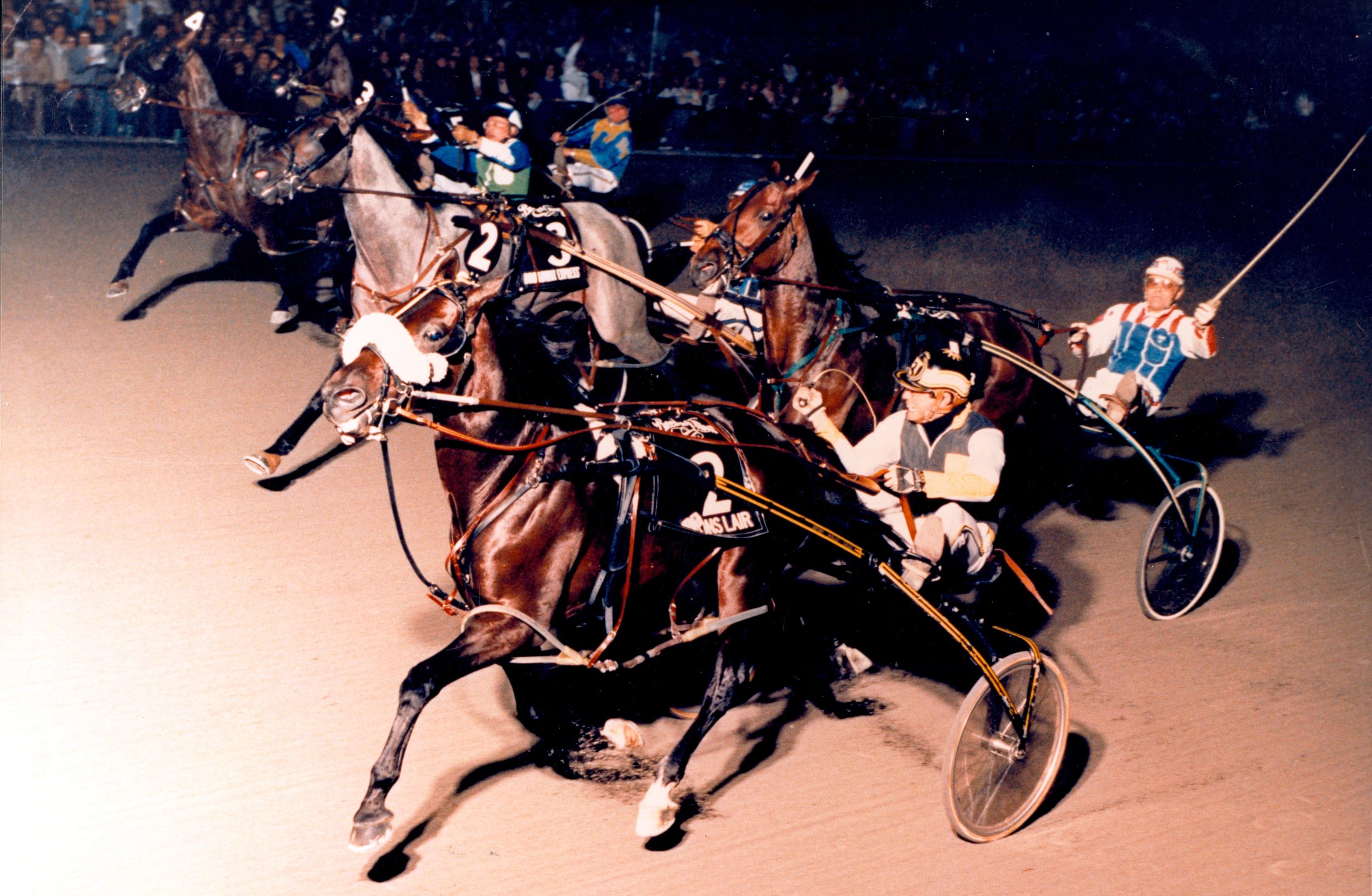 dragons Lair Color-1.jpg