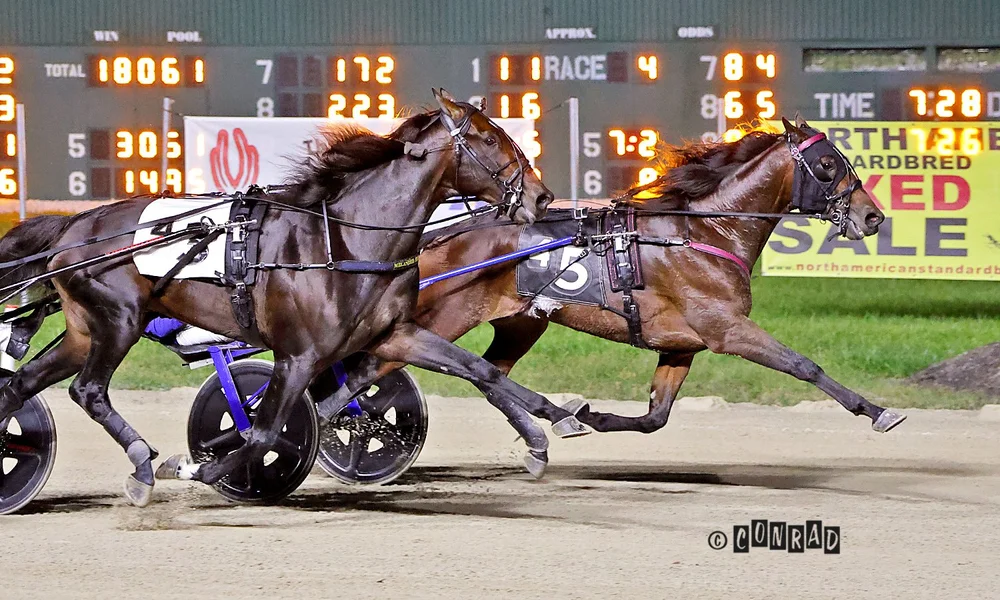 Diabolic Hill wins the first Breeders Crown 3-Year-Old Colt Trot elimination at Eldorado Scioto Downs