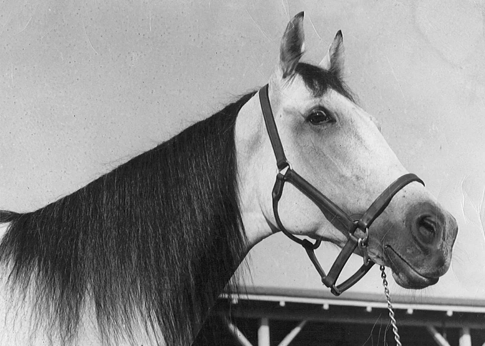 2022 Hambletonian media Guide — Hambletonian Society Inc