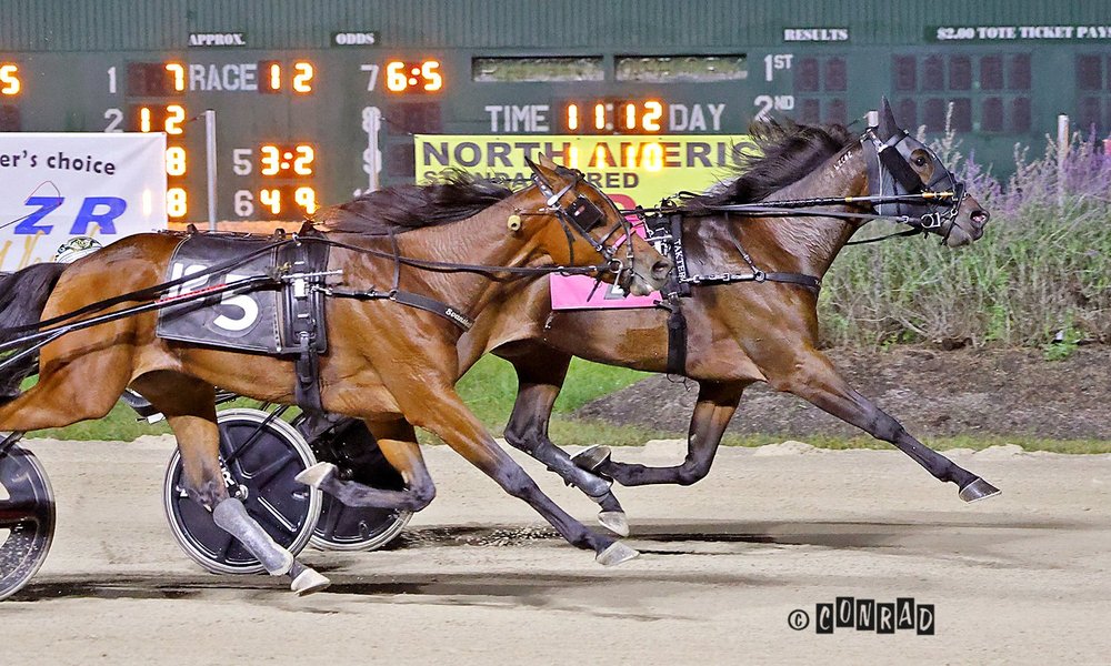 She&rsquo;s Moni wins the third Breeders Crown 3-Year-Old Filly Trot elimination at Eldorado Scioto Downs