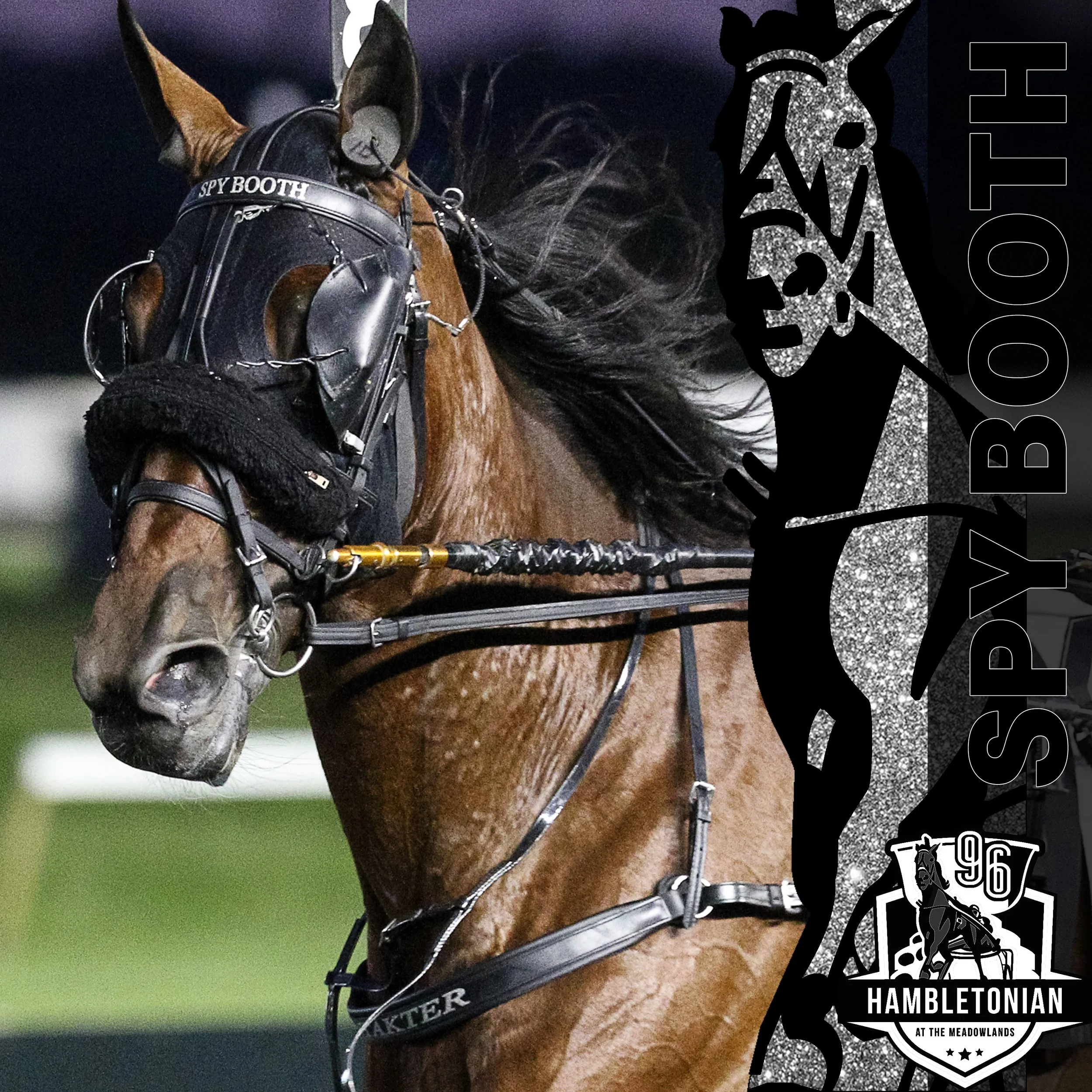 2021 entry hambo final spy booth.jpg