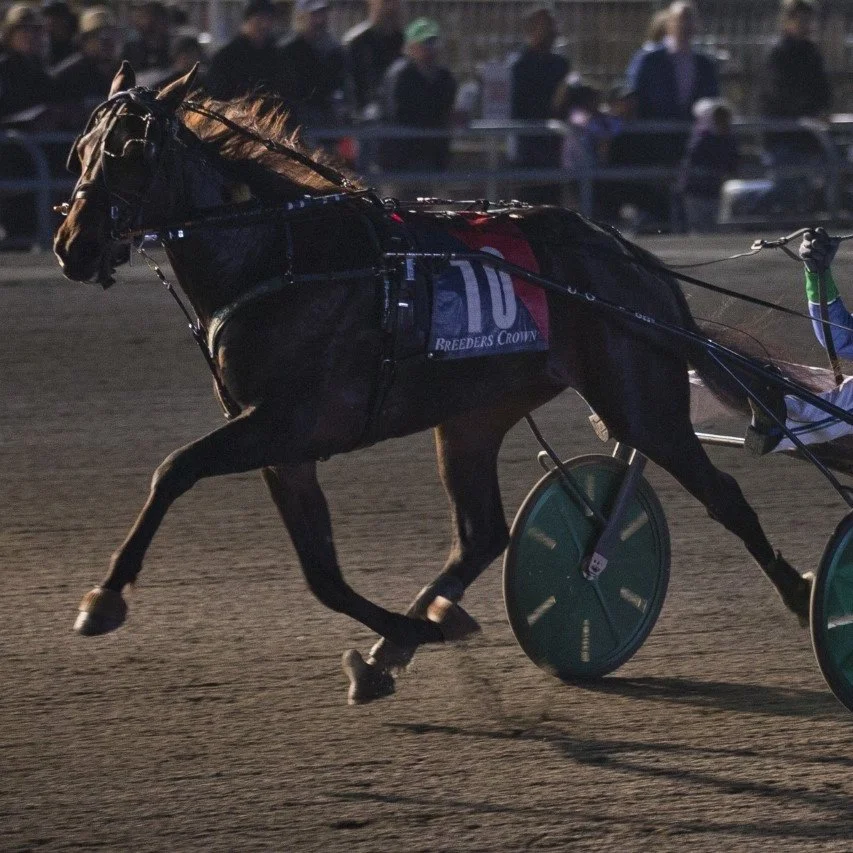 Ramona Hill Crown 19.jpg