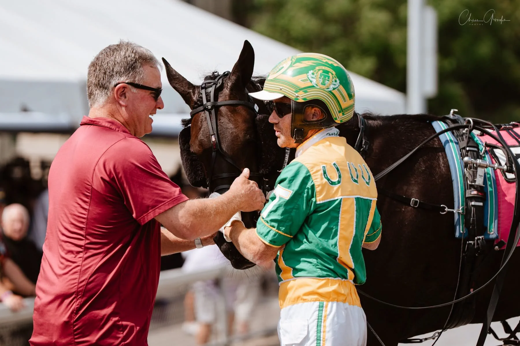 Chestnut Kelly | Arden Downs | 3FT