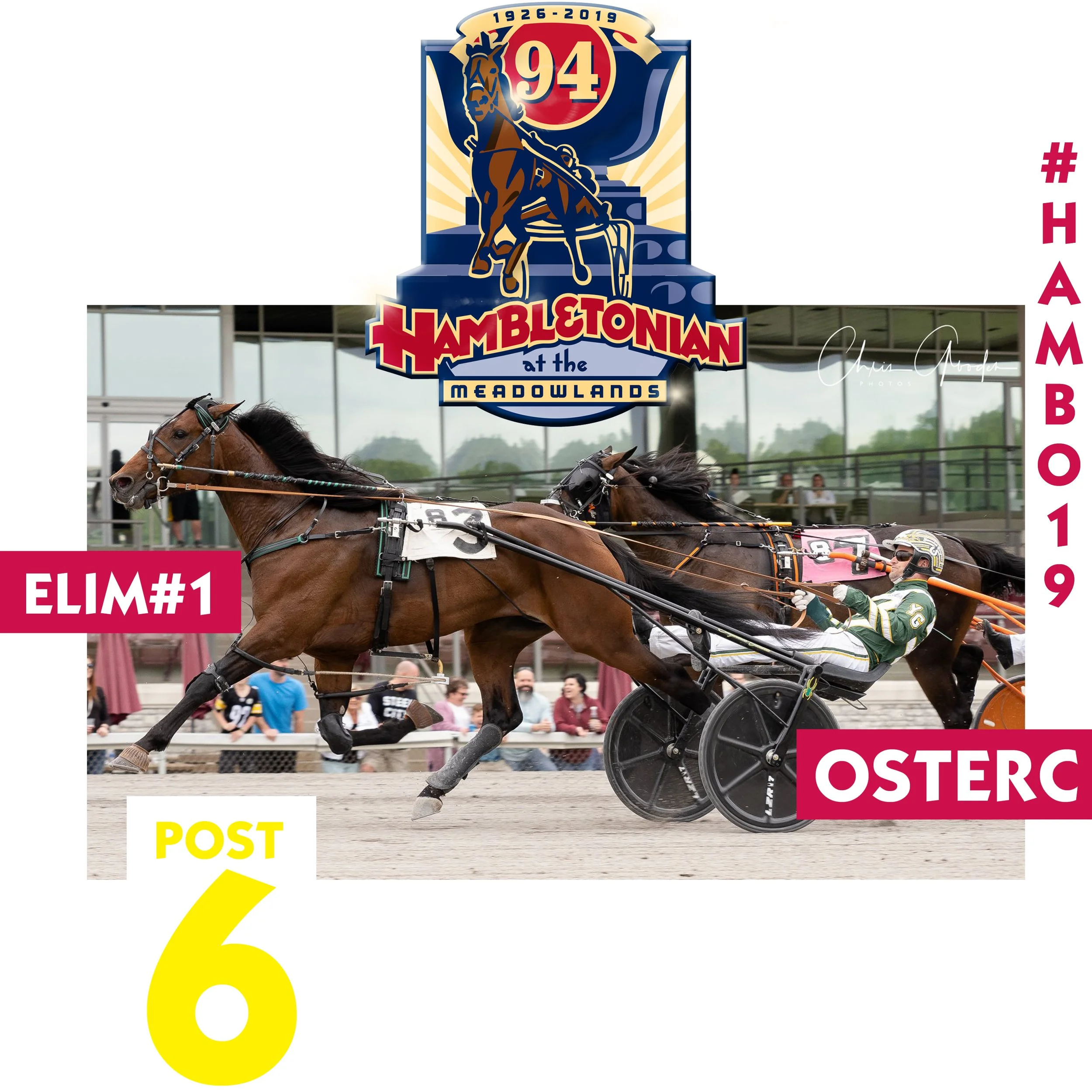 hambo heats 16.jpg
