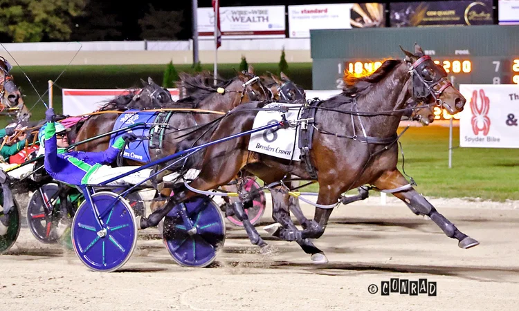 Miss Jum Jabber wins the Breeders Crown 3YO Filly Pace