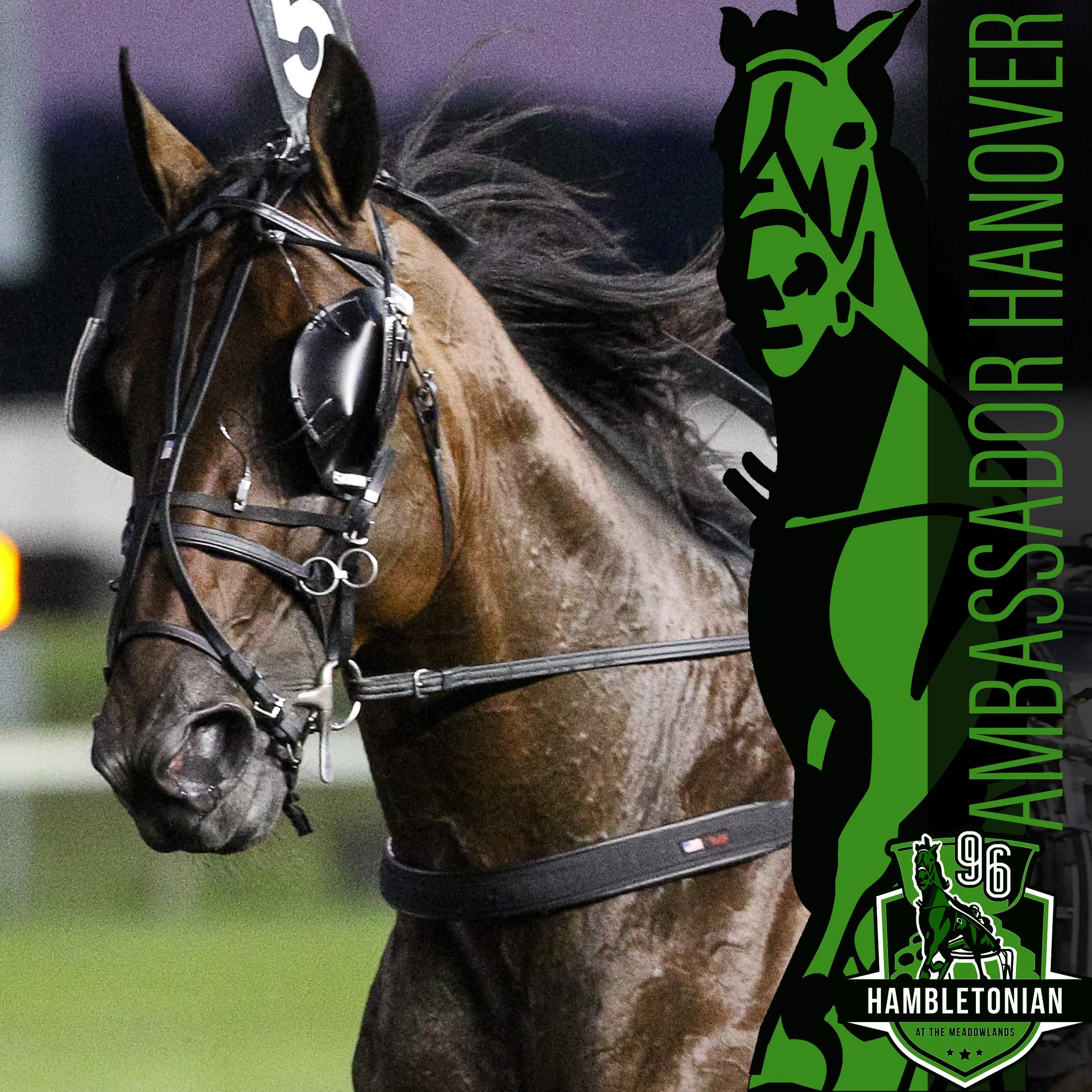 2021 entry hambo final ambassador.jpg