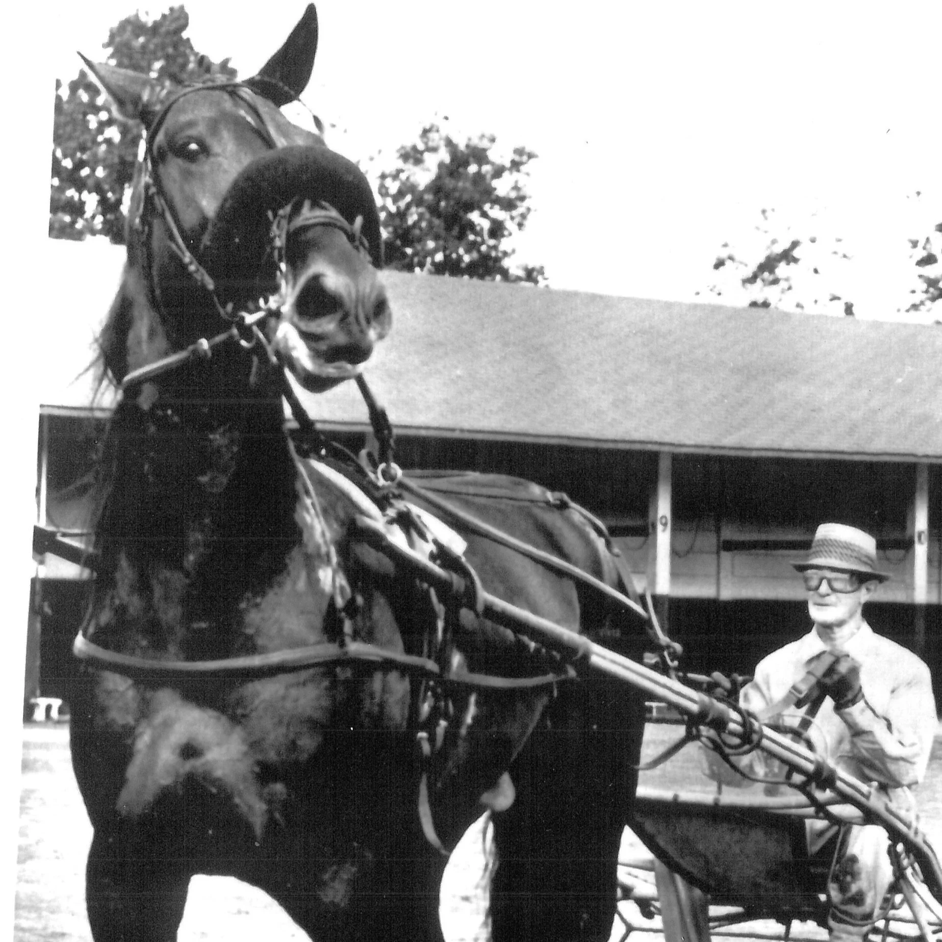 090362 AC's Viking.jpg