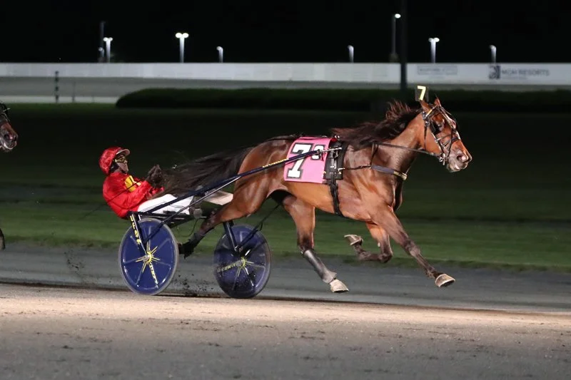 Stuck In My Spanks  Standardbred Canada