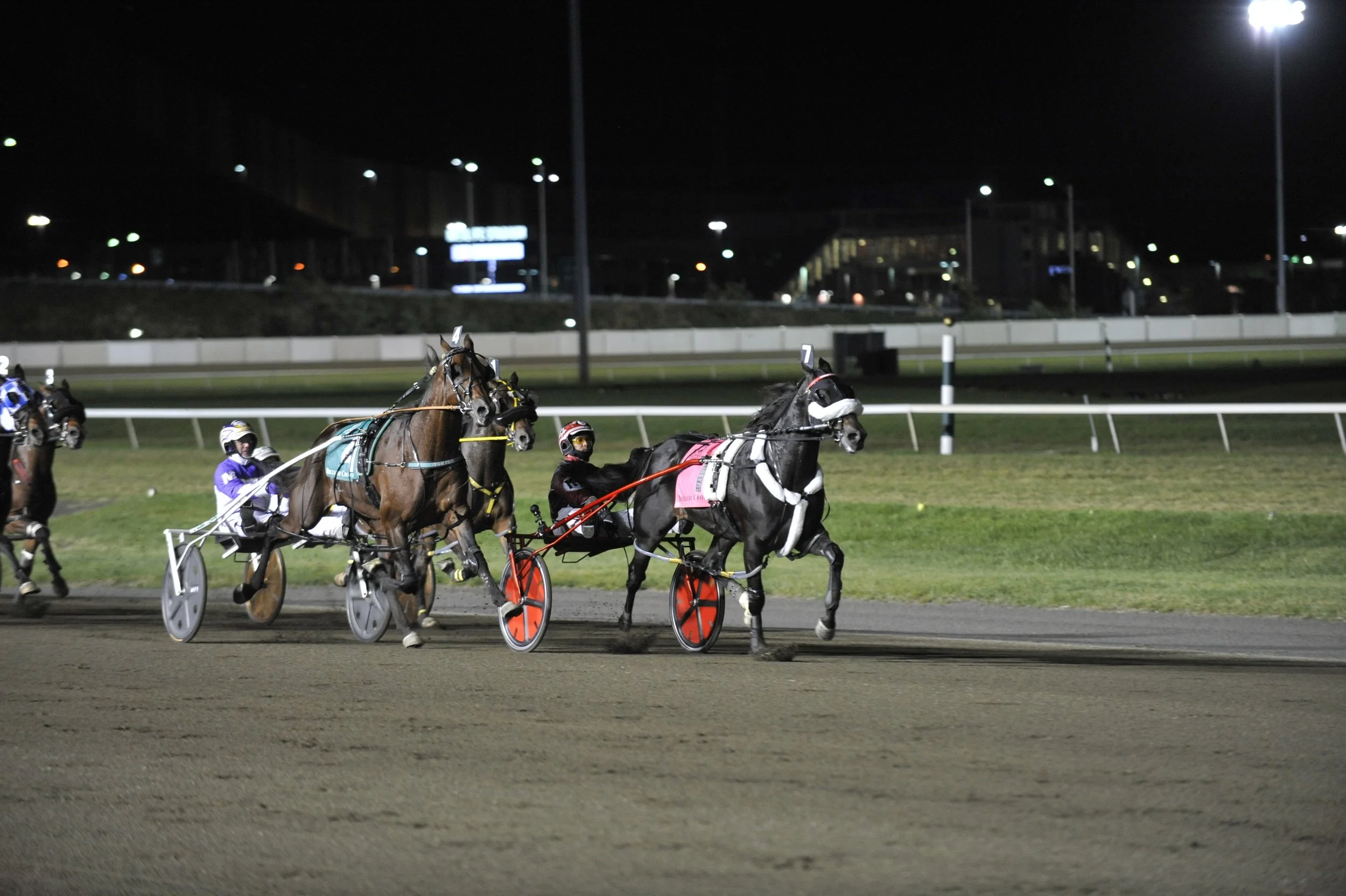 _JGS6695 Wiggle It still in front.JPG