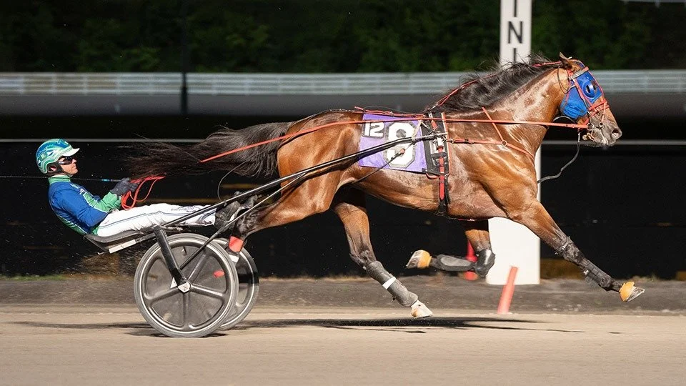 #10 Endurance