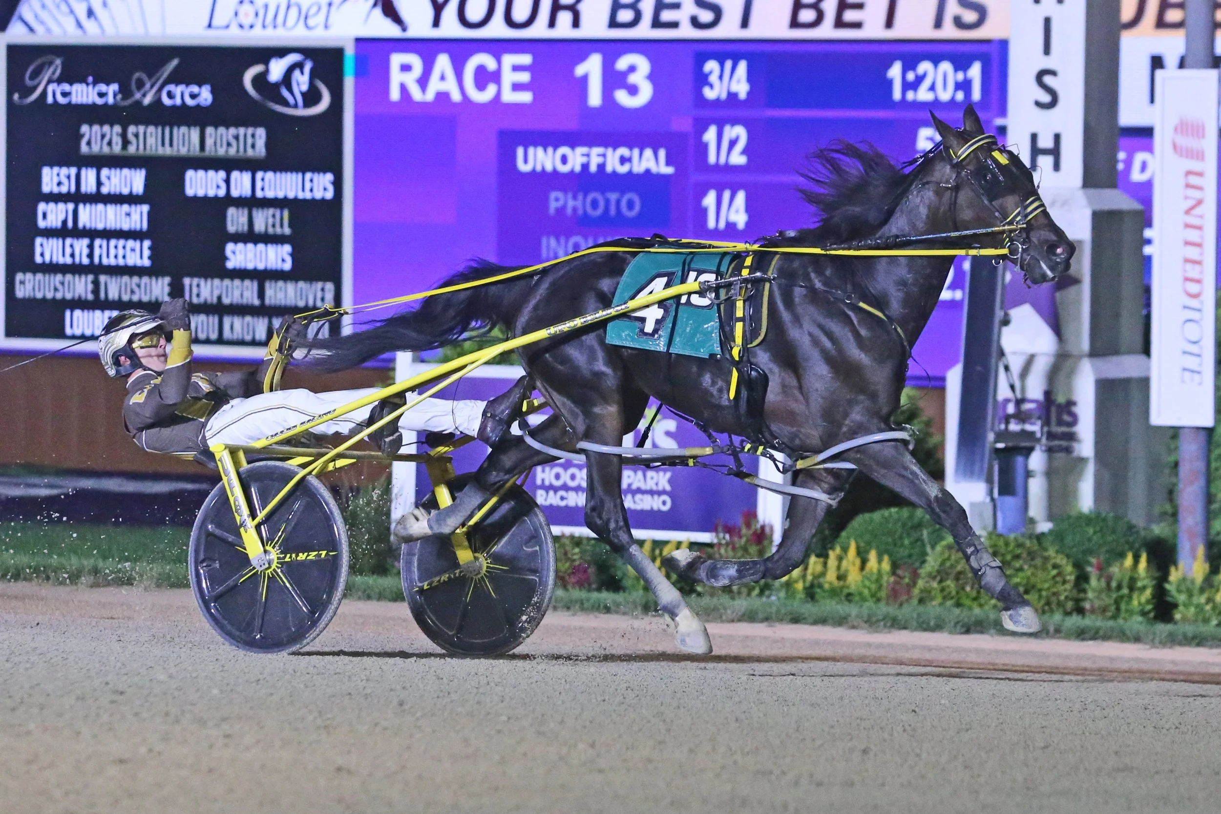 Dandy Ideal | Dan PAtch