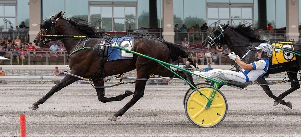 Atomix Hanover | Arden | 2CP