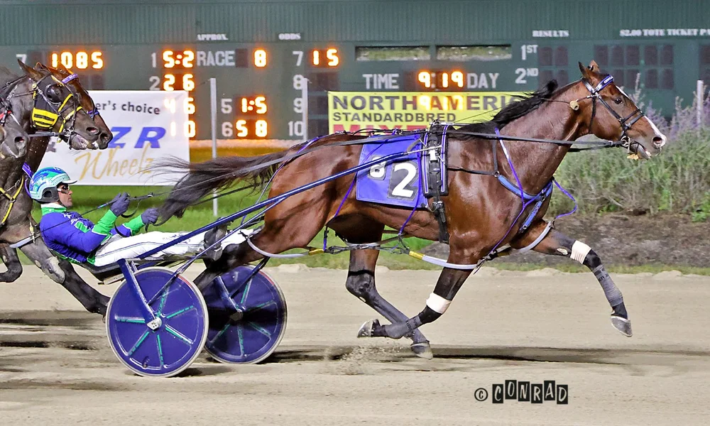Gentleman&rsquo;s Club wins the first Breeders Crown 3-Year-Old Colt & Gelding Pace elimination at Eldorado Scioto Downs