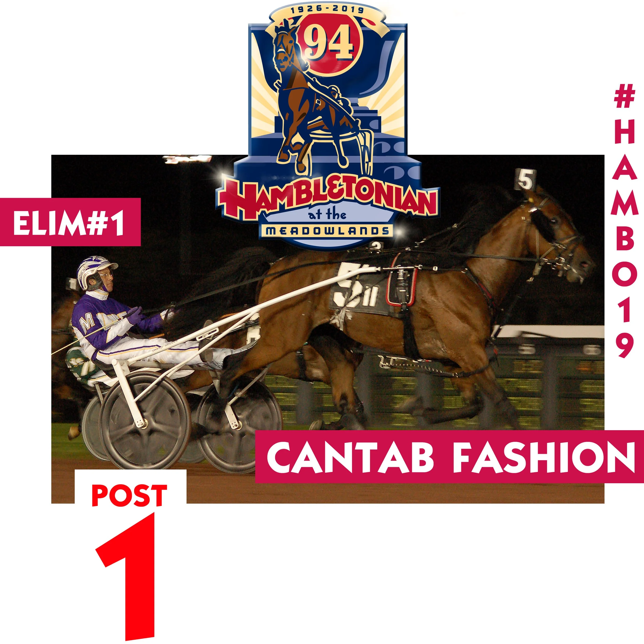 hambo heats 11.jpg