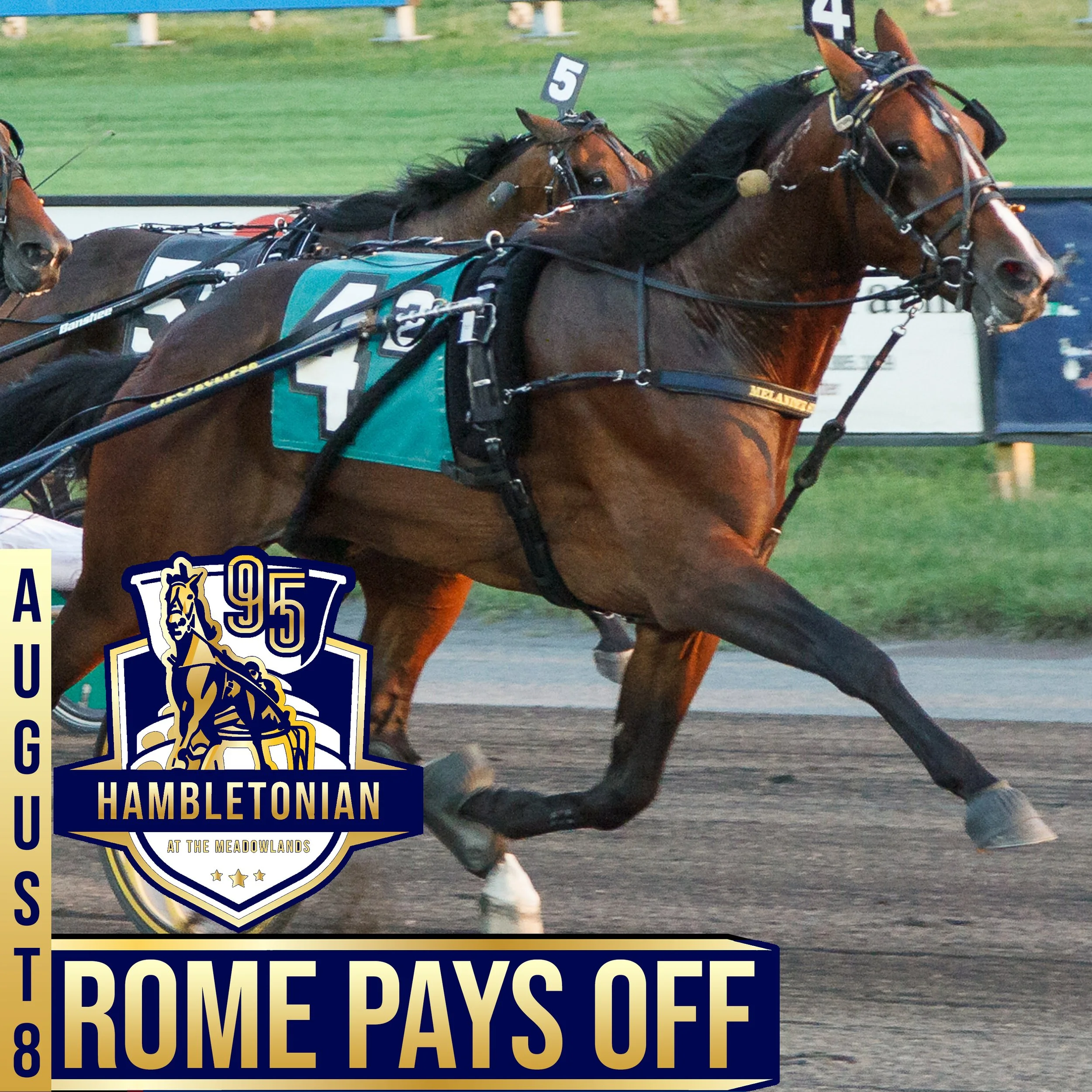 hambo 20 rome pays off.jpg