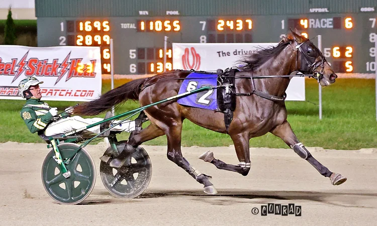 Lifetime Dreamer wins the 2-Year-Old Colt Trot Elim 1 at Eldorado Scioto Downs