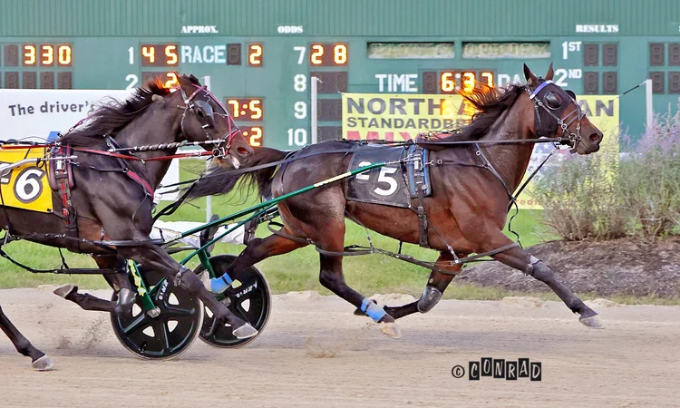 Women Layer wins the Open Pace Elim 1 at Eldorado Scioto Downs