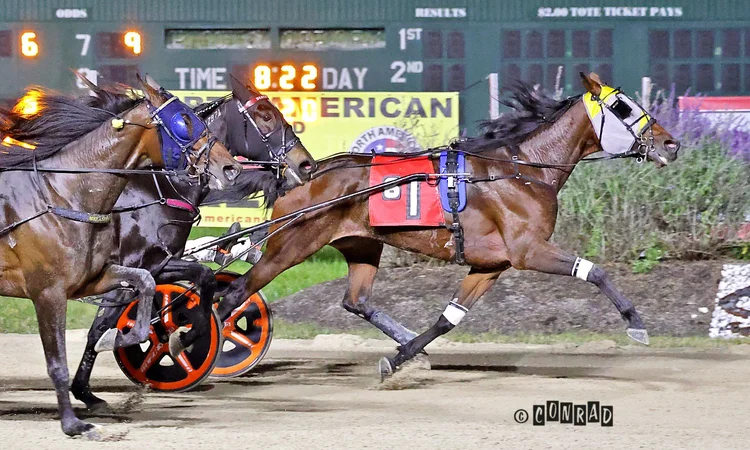Little Road wins the 3-Year-Old Filly Trot Elim 2 at Eldorado Scioto Downs