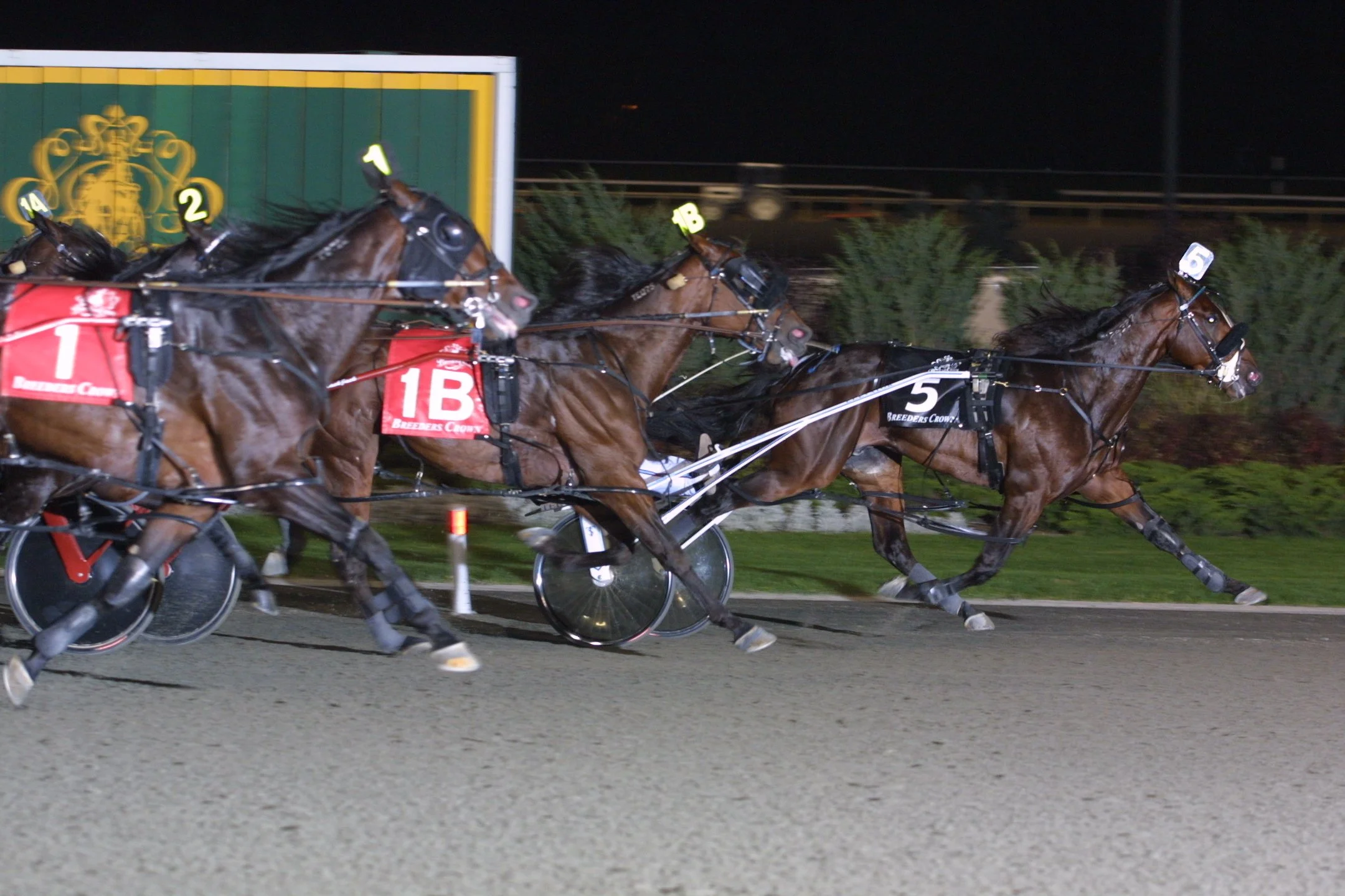 09  Real Desire rc.JPG