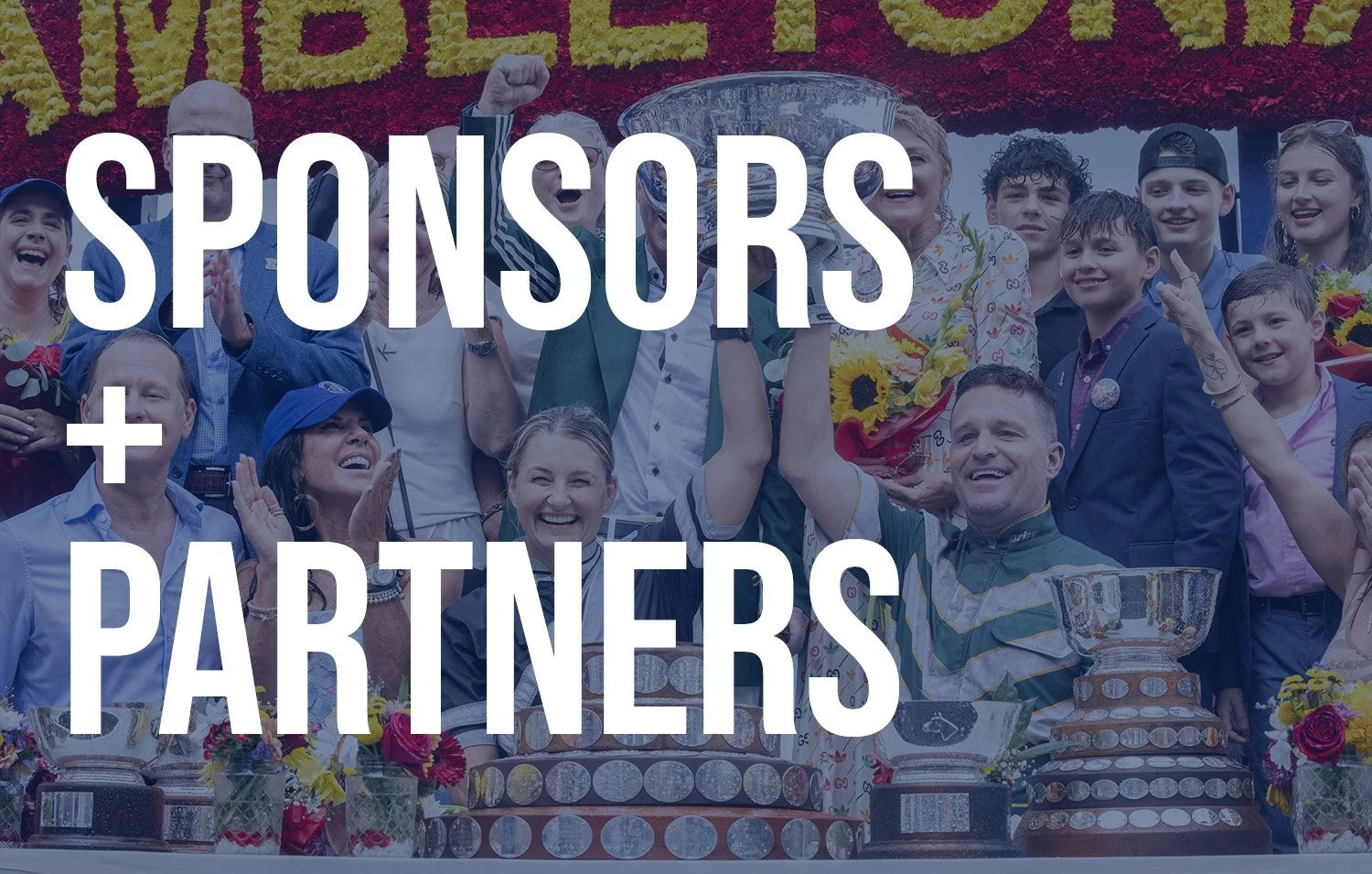 sponsors+partners.jpg