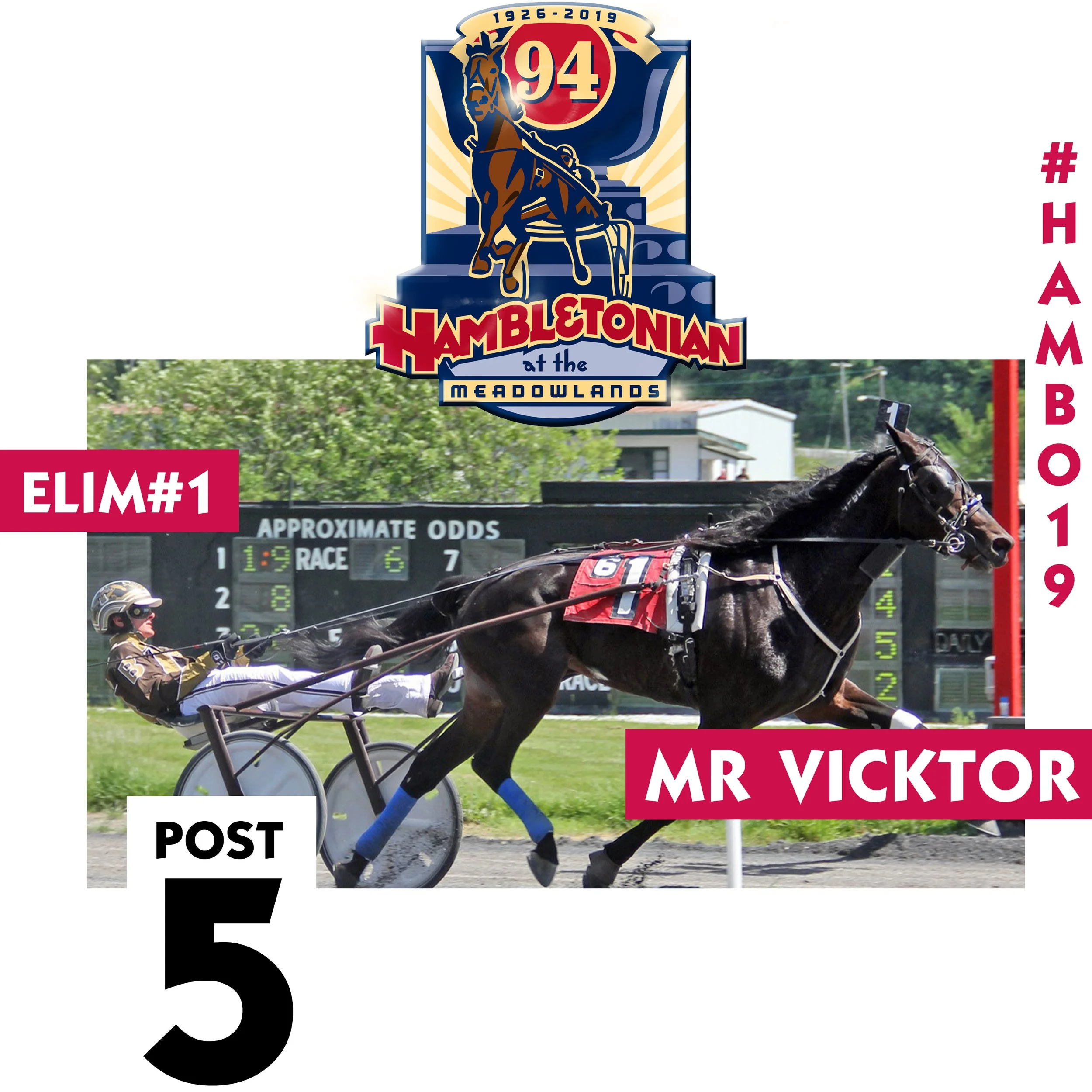 hambo heats 15.jpg