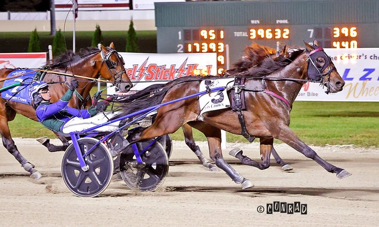 Diabolic Hill wins the Breeders Crown 3YO Colt Trot