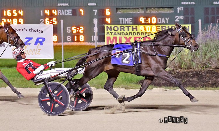 Two Day Hangover wins the 2-Year-Old Filly Trot Elim 2 at Eldorado Scioto Downs