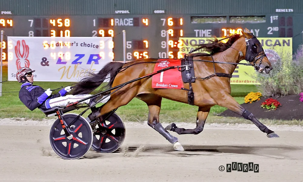 Tactical Moni wins the Breeders Crown Mare Trot at Eldorado Scioto Downs