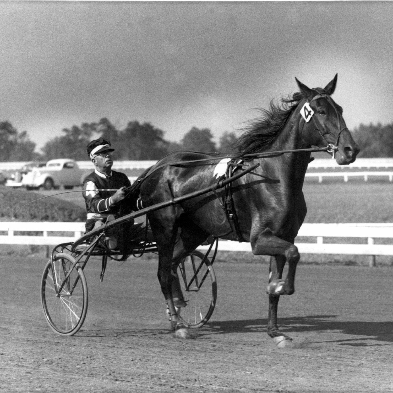 2022 Hambletonian media Guide — Hambletonian Society Inc