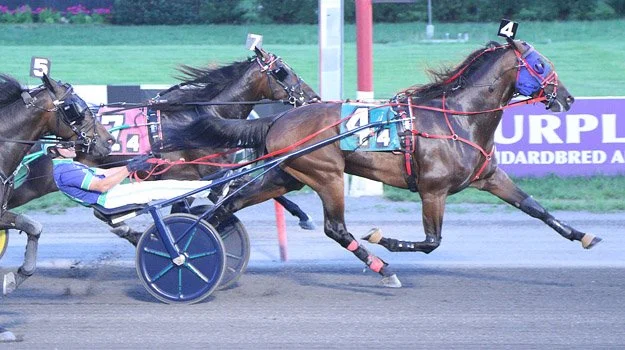 #8 Endurance