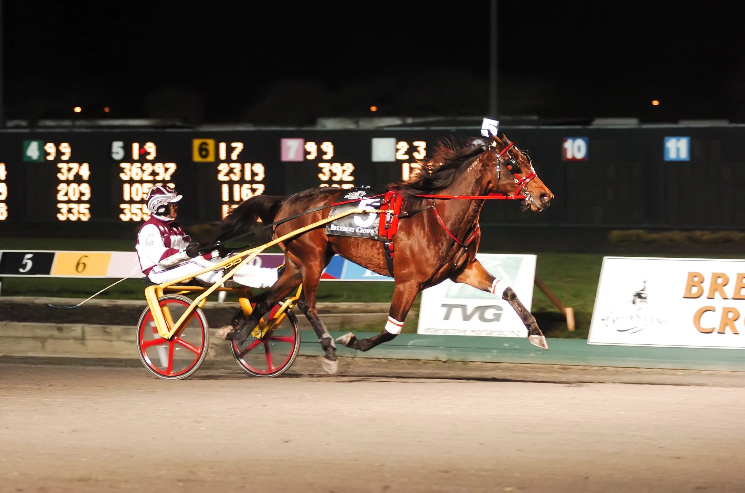 Snow White deep stretch.JPG