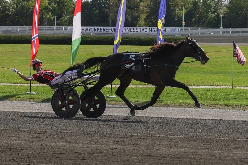 Super Chapter | International Trot