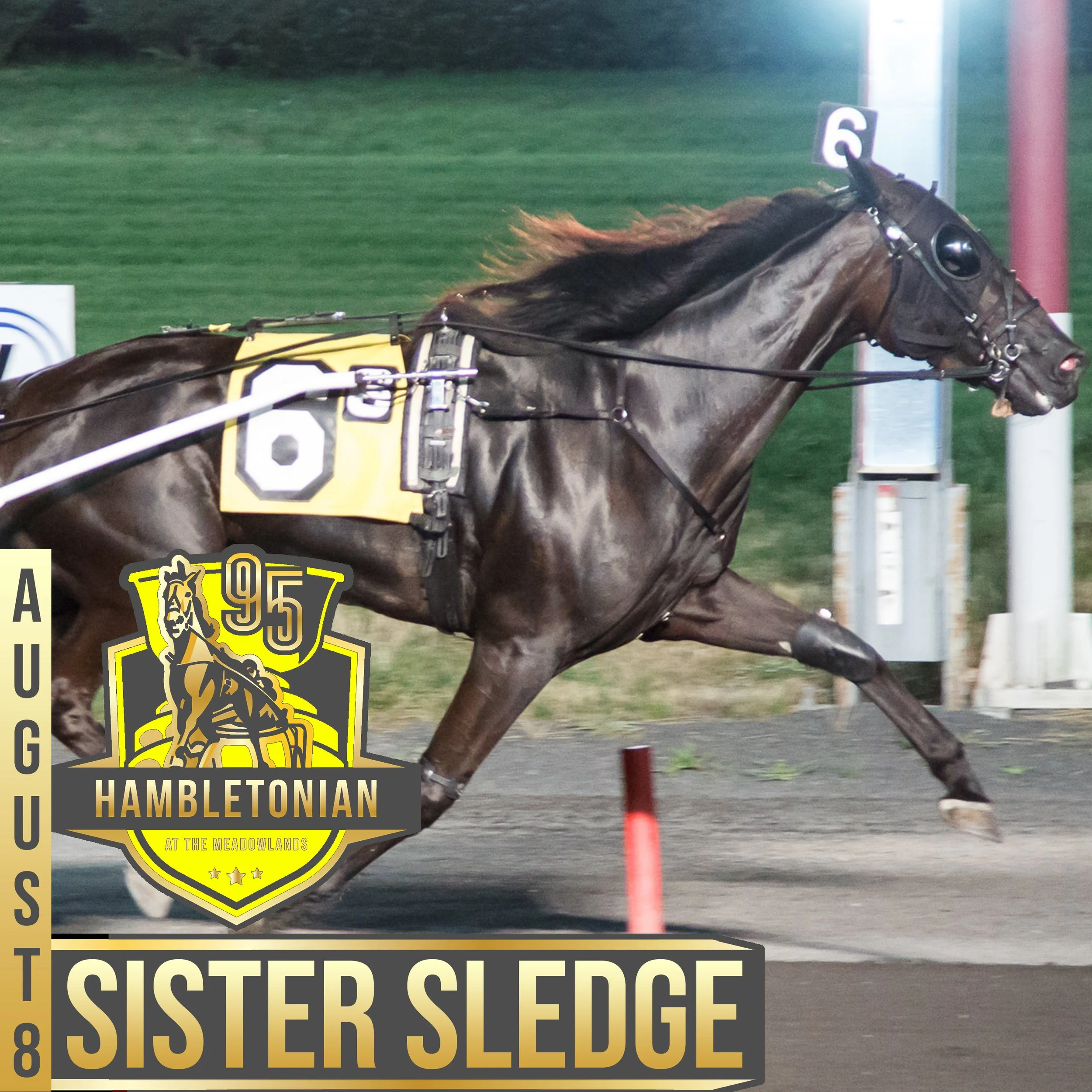 hambo 20 sister sledge.jpg