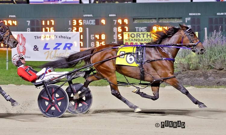 Twin B Joe Fresh wins the Mare Pace Elim at Eldorado Scioto Downs