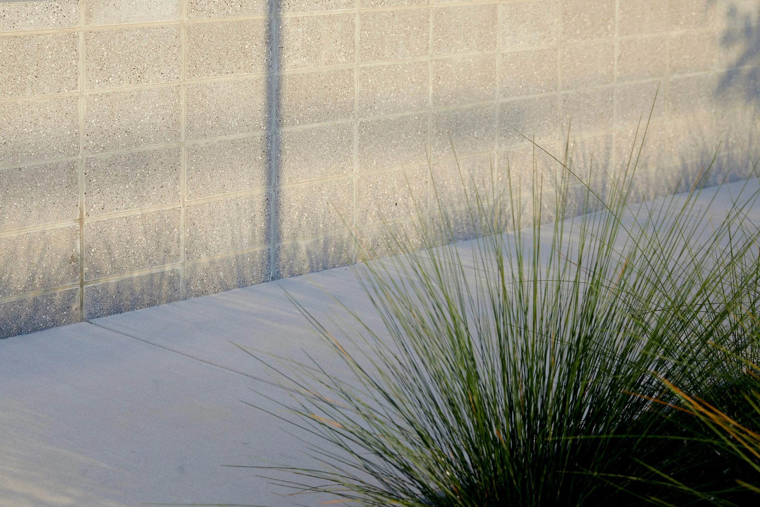 PMC_0123_Reduced.jpg