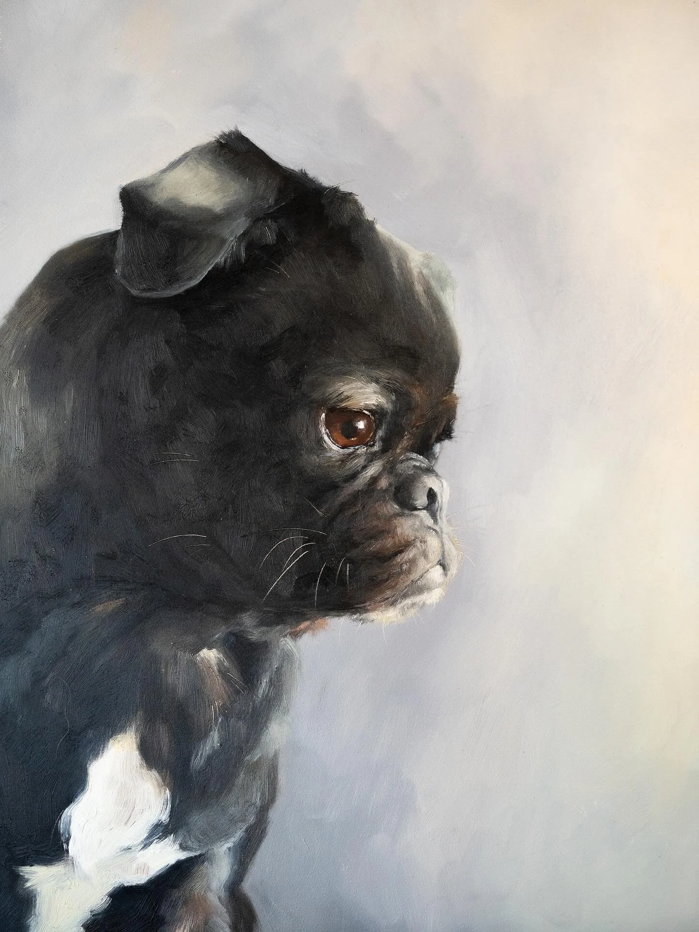 🖤 I actually finished this one a while ago but forgot to post it. The black fur was quite challenging &mdash; finding those shifts in temperature and light took time, but I loved the process&hellip; or that&rsquo;s what I&rsquo;m telling myself 🤣 b