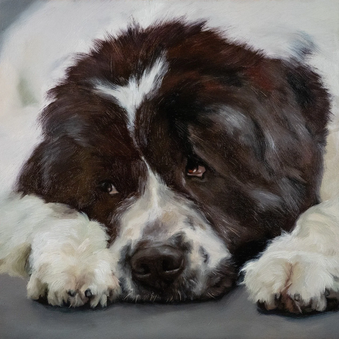 A gentle giant with the heart (and look) of a bear. 🐾❤️ (I loved painting his paws!)
 Oil on Gessobord panel, 2025.

I paint custom pet portraits like this one, from reference photos you love.

✉️ Commissions open &mdash; shipping to the USA is tari