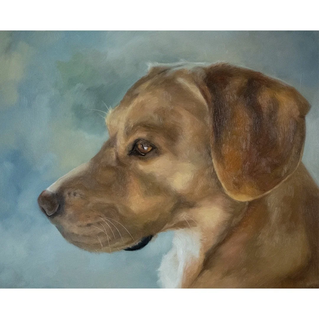 Meet Pity. 🐕
He belongs to two dear friends who just got married. I painted him in secret, hoping to give them something that felt true to their life together (and because I already knew a certain someone had been wishing for Pity&rsquo;s portrait&h