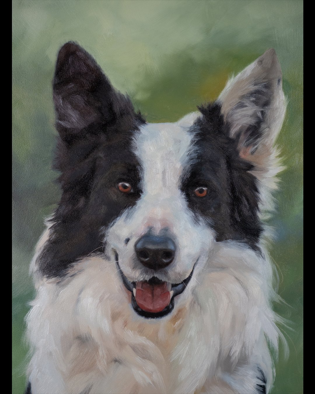 This is Duc, one of my dog trainer&rsquo;s border collies. 🐾
 He loves agility and has competed in many tournaments over the years, so my trainer&rsquo;s daughter chose this photo of him looking bright and proud. She did an amazing job &ndash; he se