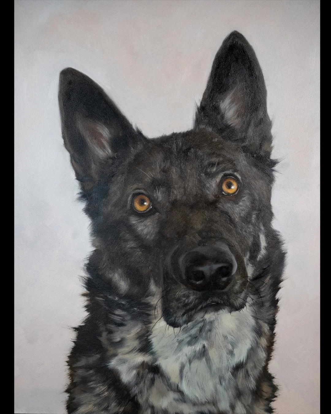 This is Natsu, our full-time troublemaker. 🖤 

I started this portrait months ago and somehow it stayed in the studio waiting for the last details. Last week I finally sat down and painted the whiskers. Funny how a painting can feel unfinished until