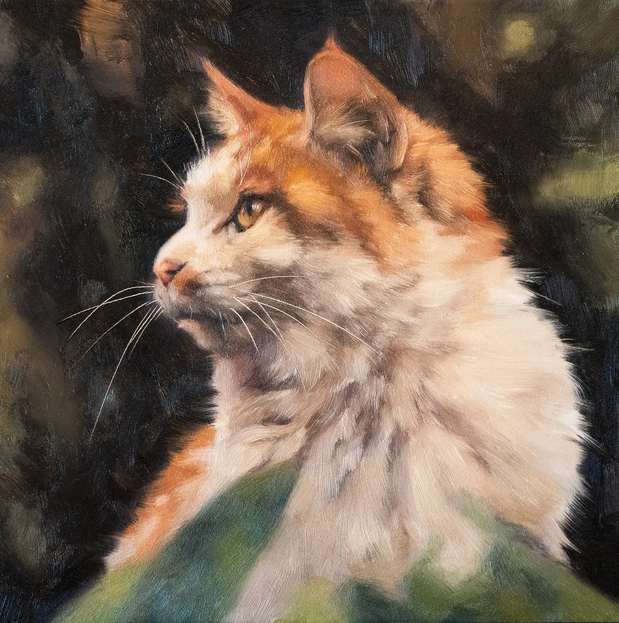 cat profile 120.jpg