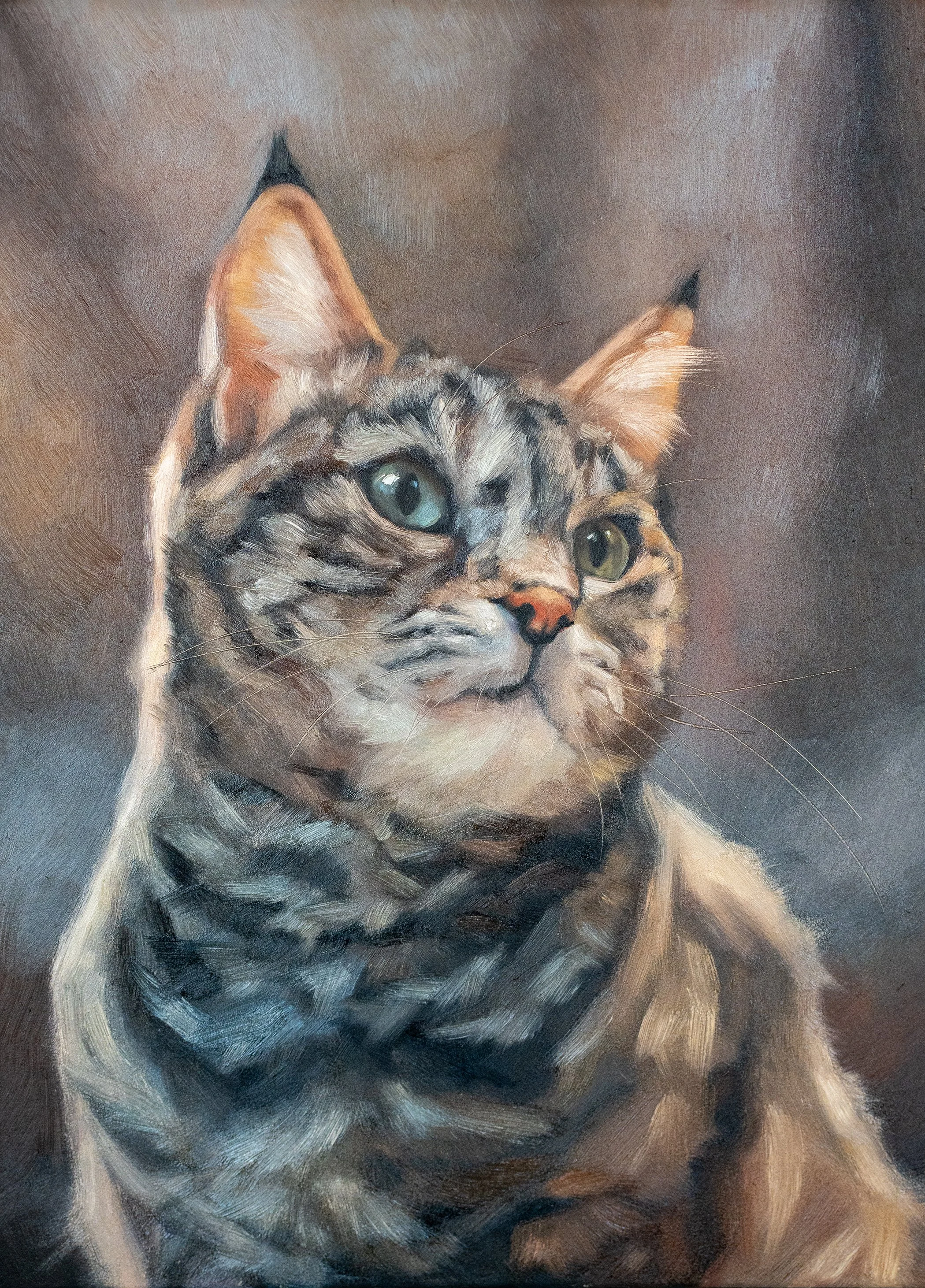 cat 2 - 120.jpg