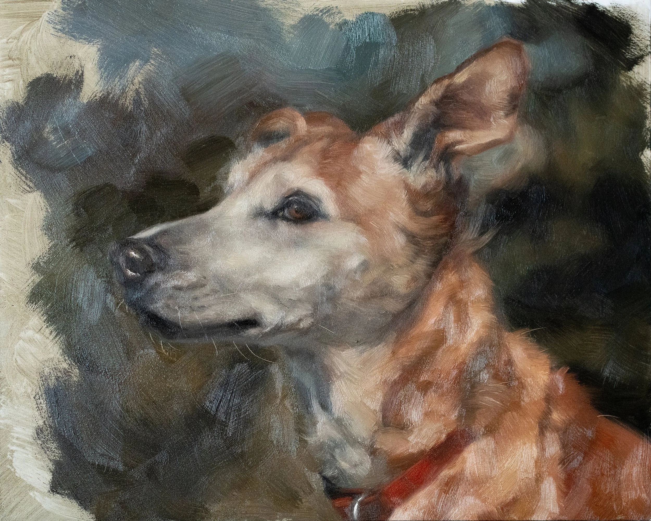 Profile Dog-120.jpg